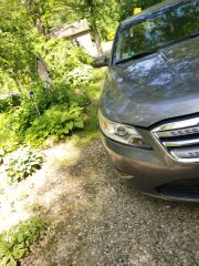 2011 Ford Taurus SEL - Exterior Side Driver Image